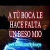 wilsonrodezno